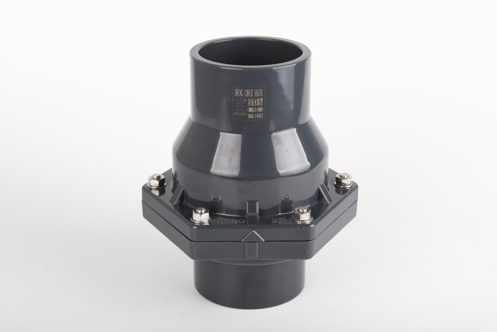 龙圩翻板式止回阀