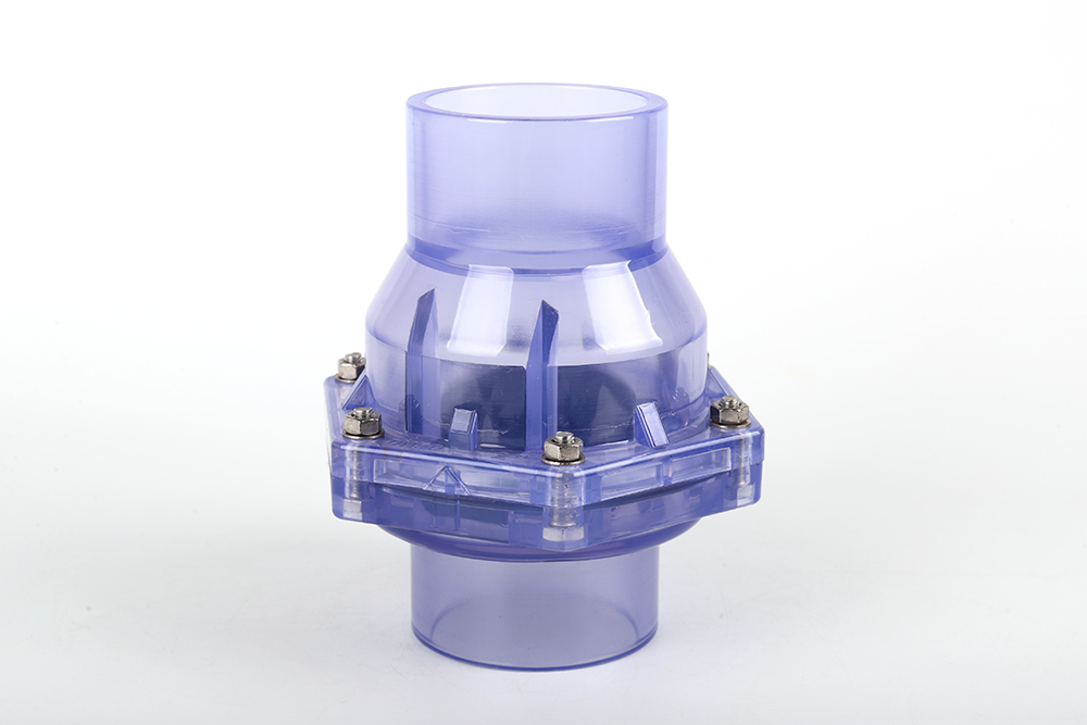 龙圩透明翻板式止回阀